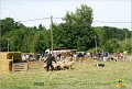 DSC_3133w