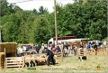 DSC_3138w