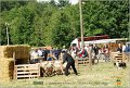 DSC_3142w