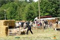 DSC_3144w