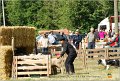 DSC_3146w