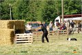 DSC_3149w