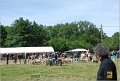 DSC_3163w