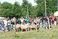 DSC_3171w