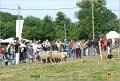 DSC_3172w