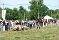 DSC_3173w