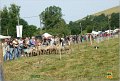 DSC_3174w