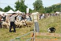 DSC_3179w
