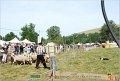 DSC_3180w