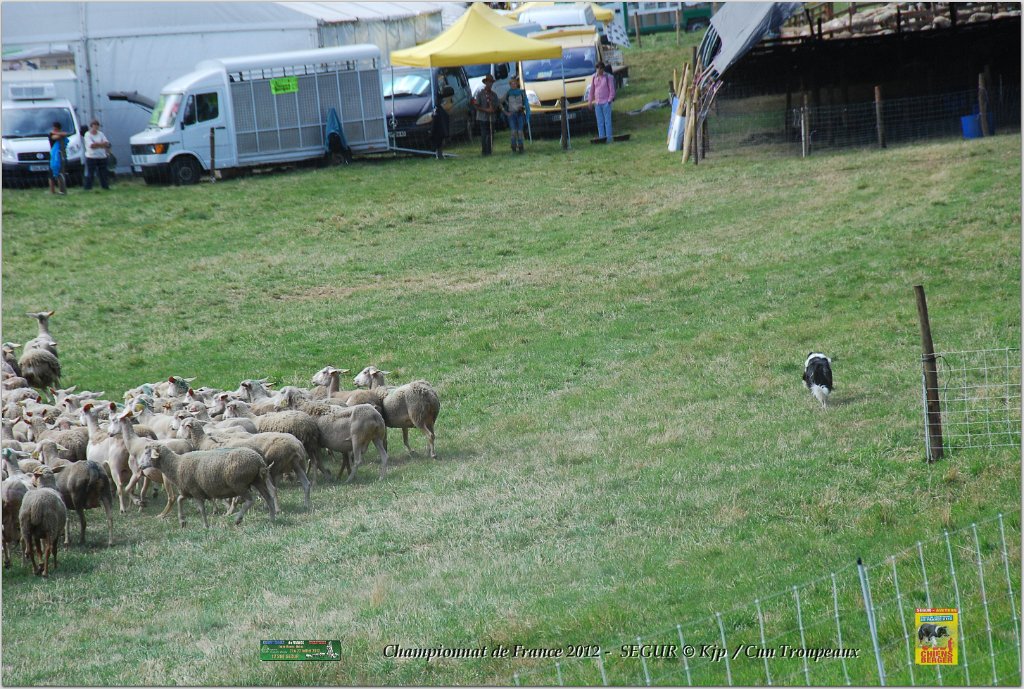 DSC_1268w.jpg