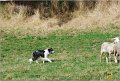 DSC_1144w