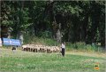 DSC_1172w