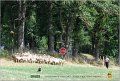 DSC_1182w