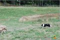 DSC_1206w