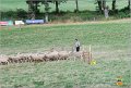 DSC_1212w