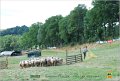 DSC_1224w