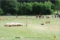 DSC_1248w