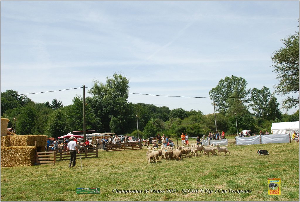 DSC_3796w.jpg
