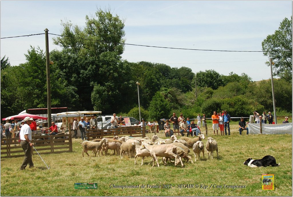 DSC_3803w.jpg