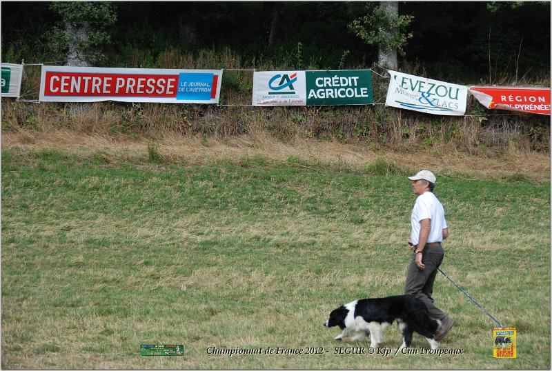 DSC_1630w.jpg