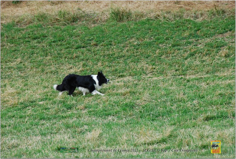 DSC_1651w.jpg