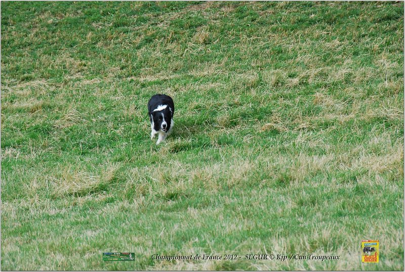 DSC_1652w.jpg