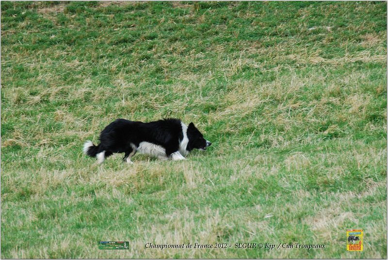 DSC_1653w.jpg