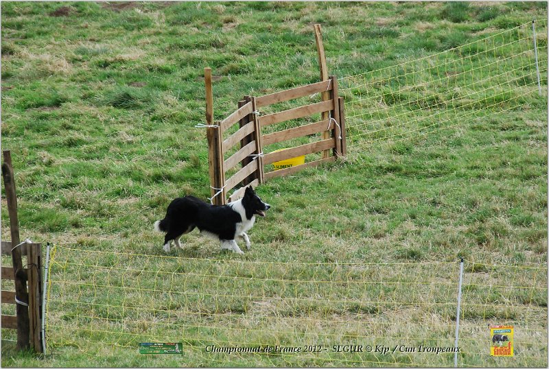 DSC_1761w.jpg