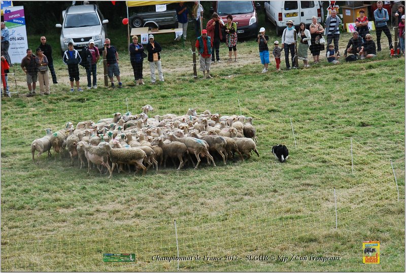 DSC_1769w.jpg