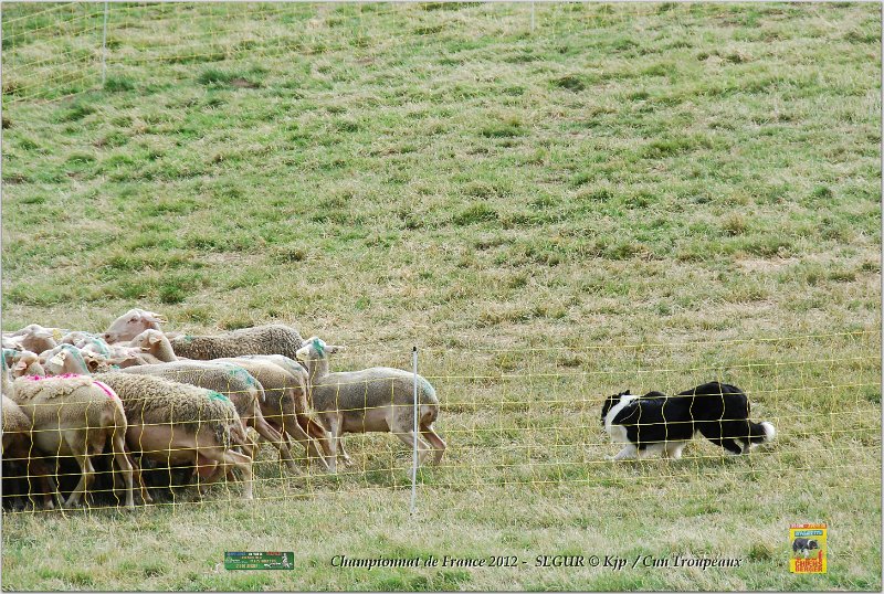 DSC_1782w.jpg