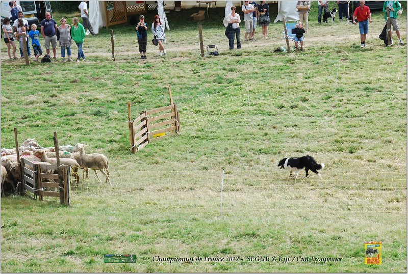 DSC_1783w.jpg