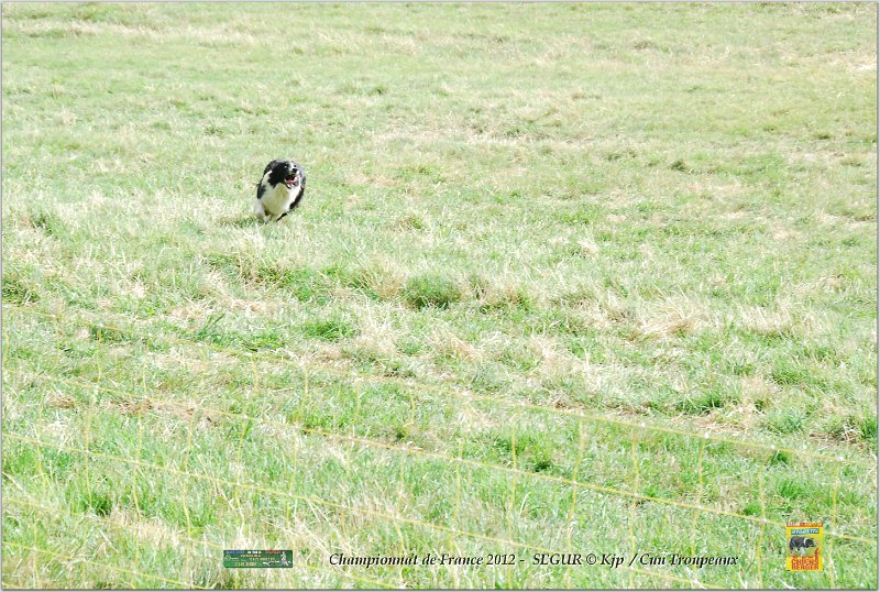 DSC_1792w.jpg