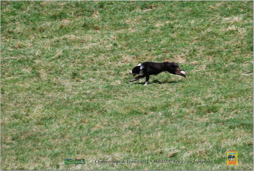DSC_4041w.jpg