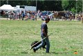 DSC_3918w