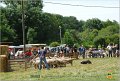 DSC_3937w