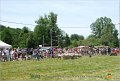 DSC_3951w