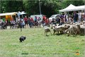 DSC_3987w