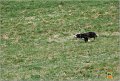 DSC_4040w