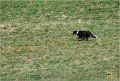 DSC_4042w