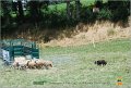 DSC_4072w