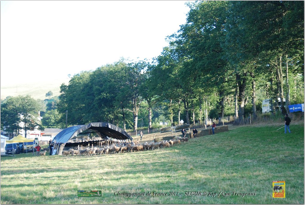 DSC_8226w.jpg