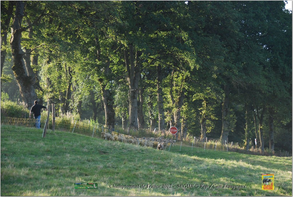 DSC_8256w.jpg