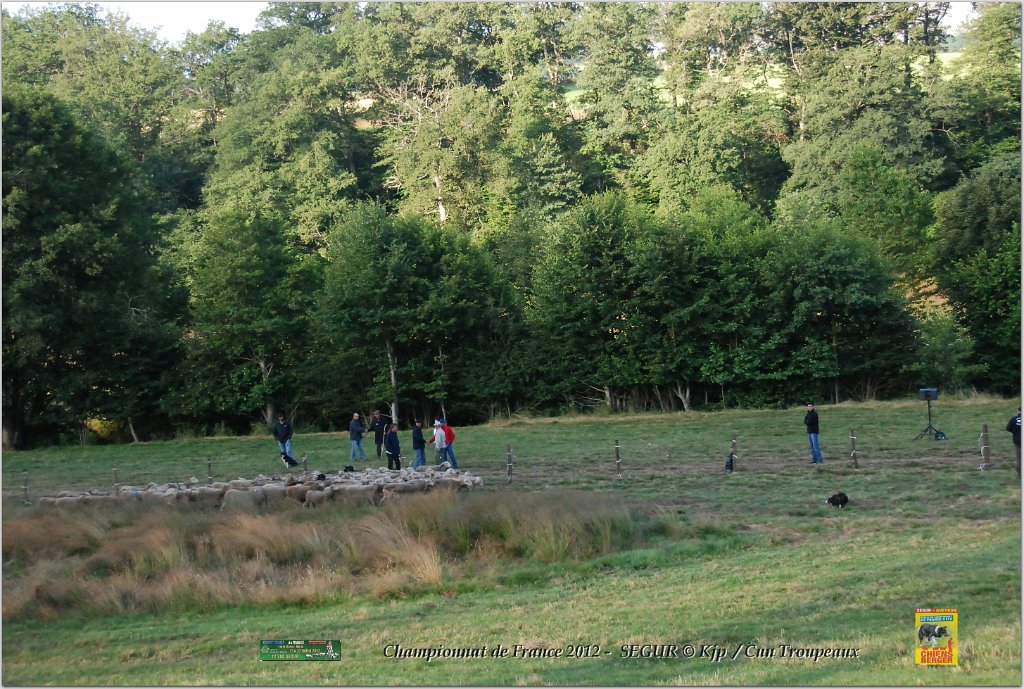 DSC_8290w.jpg