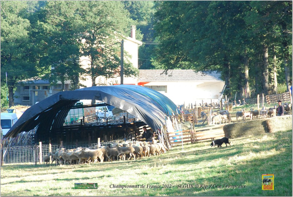 DSC_8401w.jpg
