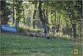 DSC_8251w