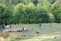 DSC_8294w