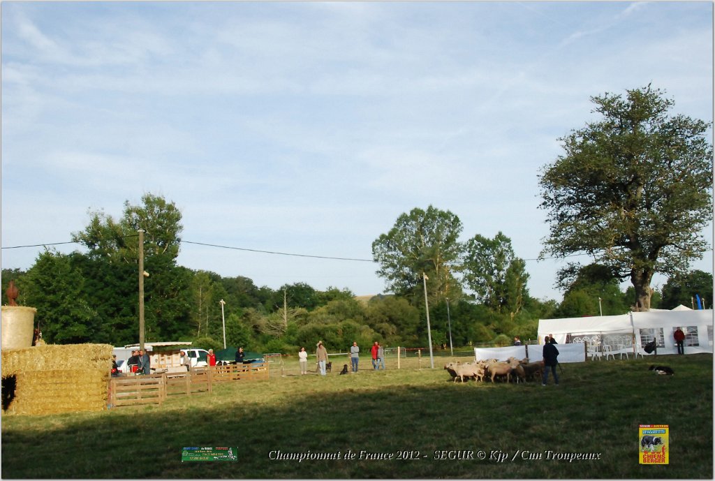 DSC_2349w.jpg