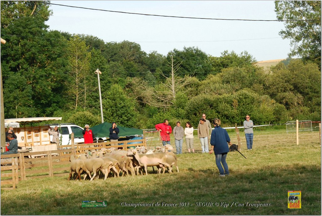 DSC_2354w.jpg