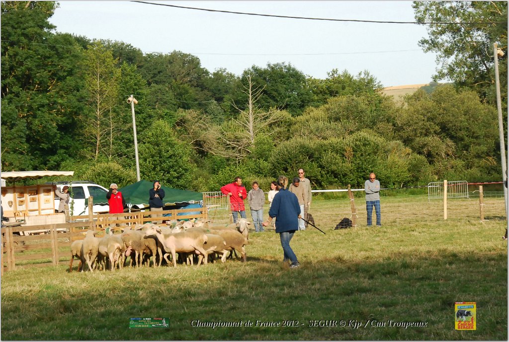 DSC_2355w.jpg