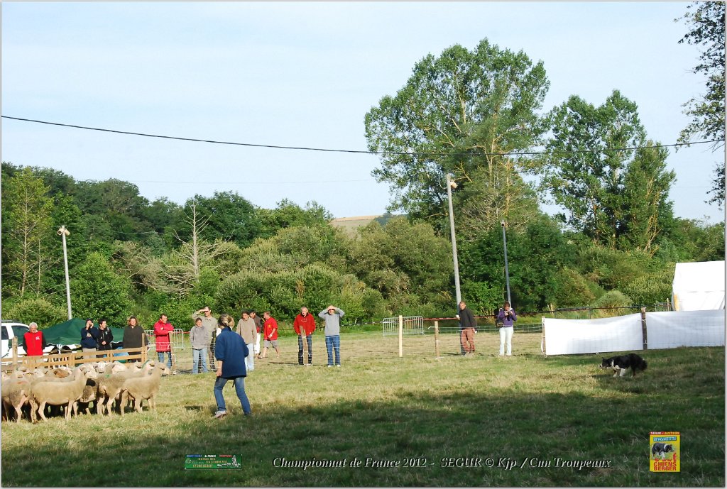 DSC_2380w.jpg